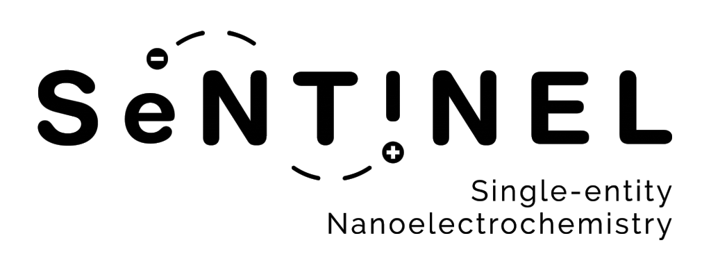 ITN Sentinel Logo